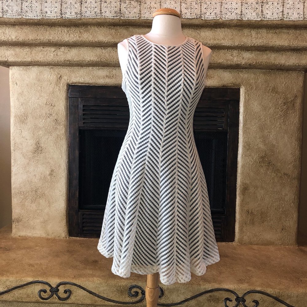 Calvin Klein Black and White Midi Dress